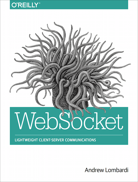 WebSocket book